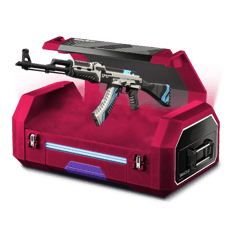 247 CRZY CASE!