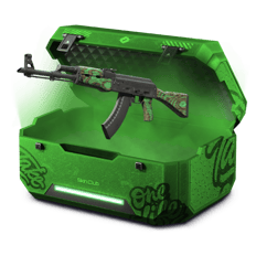 Brazil Case
