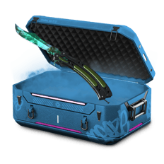 Adrenaline case
