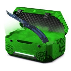 RS3 Case