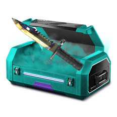 Knife case