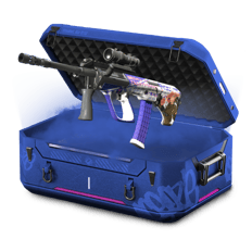 gallecsgo kawai