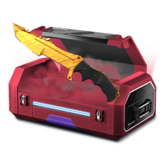 %10 knife cases