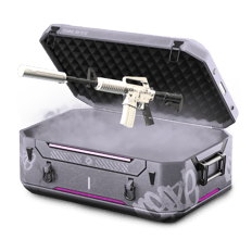 StatTrak™ Printstream Box
