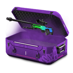 insane case