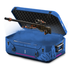 0.49 usd holy farm case