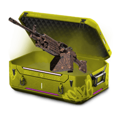 WrappedNegev!