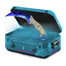 13,5% Case Blue Hunt