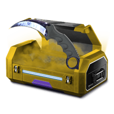 Golden case