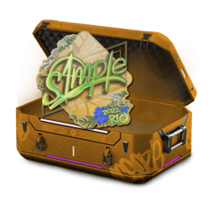 Cheap Legends Case