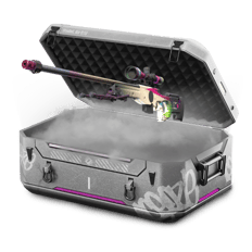 10% Battle Case