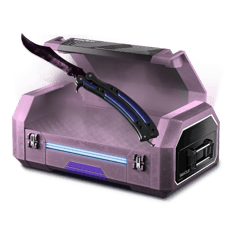 BLACK CASE