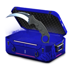 84% Profit with Karambit