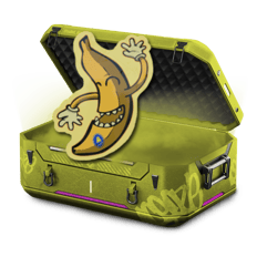 3 Lever Case