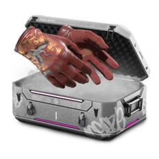 20% Gloves FLY