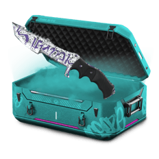lucky case