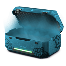 BUDGET SNOW LEOPARD