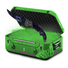 FLANKTON CASE