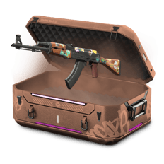 Baggage Collection