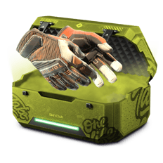 Glove casee