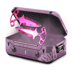 koral case 2