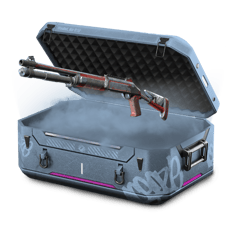 22xm