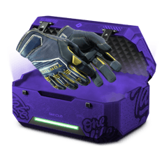LaN Case