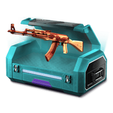84,1% EXP FARM CASE