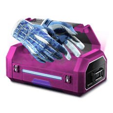 100% Gloves