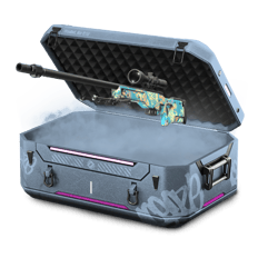CASE RENTABILITE