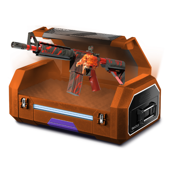 LAST CASE