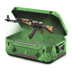 Baggage Collection
