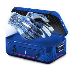 100% Guaranteed Gloves