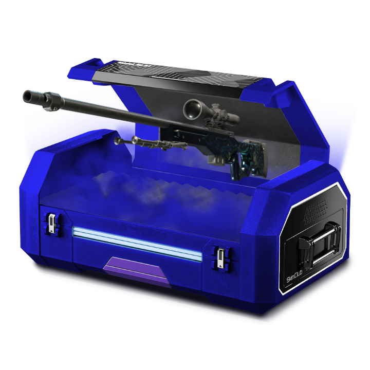 Blue sniper case