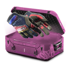 0.1 Gloves