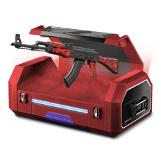 10% ak case