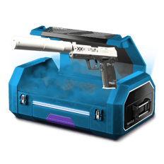 Case