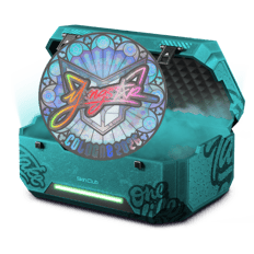 20% Cheap Case