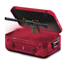 Cycle Big Vault