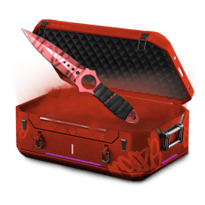 .012% 500$ Knife