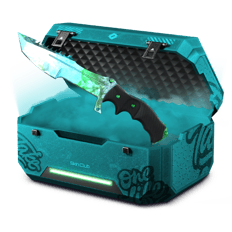 Low Price Battle Case