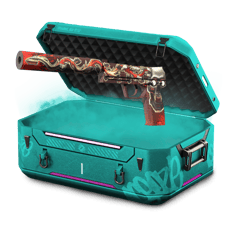 15% NGOOS'S USP-S