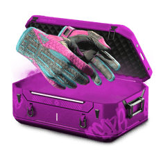Glove FN or BS