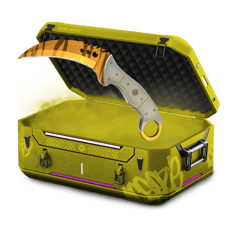 Baby case