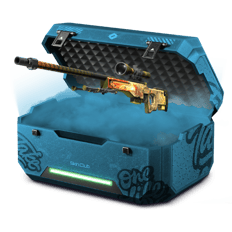 100% awp