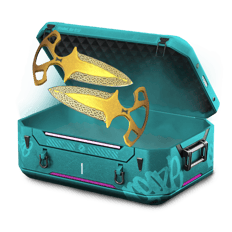 Cheap knife case