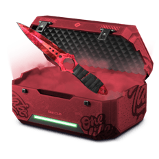 1% RUBY CASE