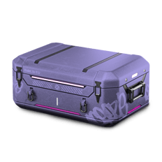 ddpat case