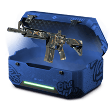 Case for lvl 10 People