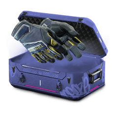 0.221% gloves